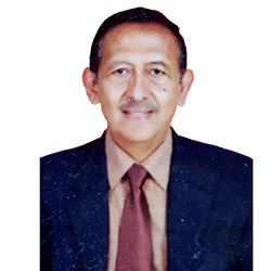Dr. Ir. Priyo Darmawan
